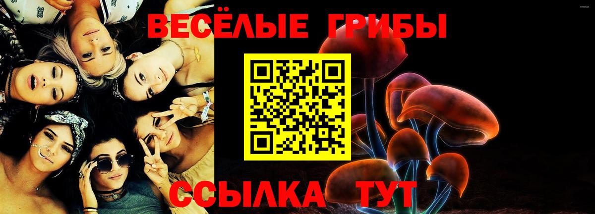 Галлюциногенные грибы Magic Shrooms  Вход с VPN  Алексин  Галлюциногенные грибы Psilocybine cubensis 